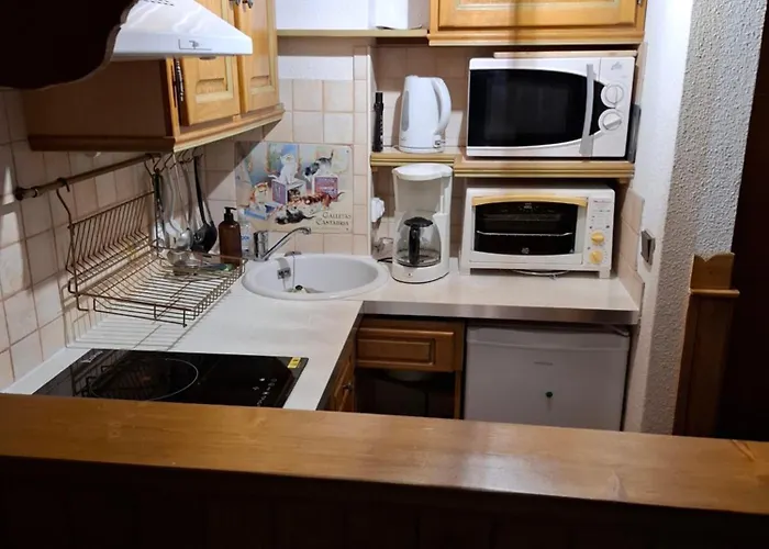 Appartement Cosy A 100M Des Pistes
